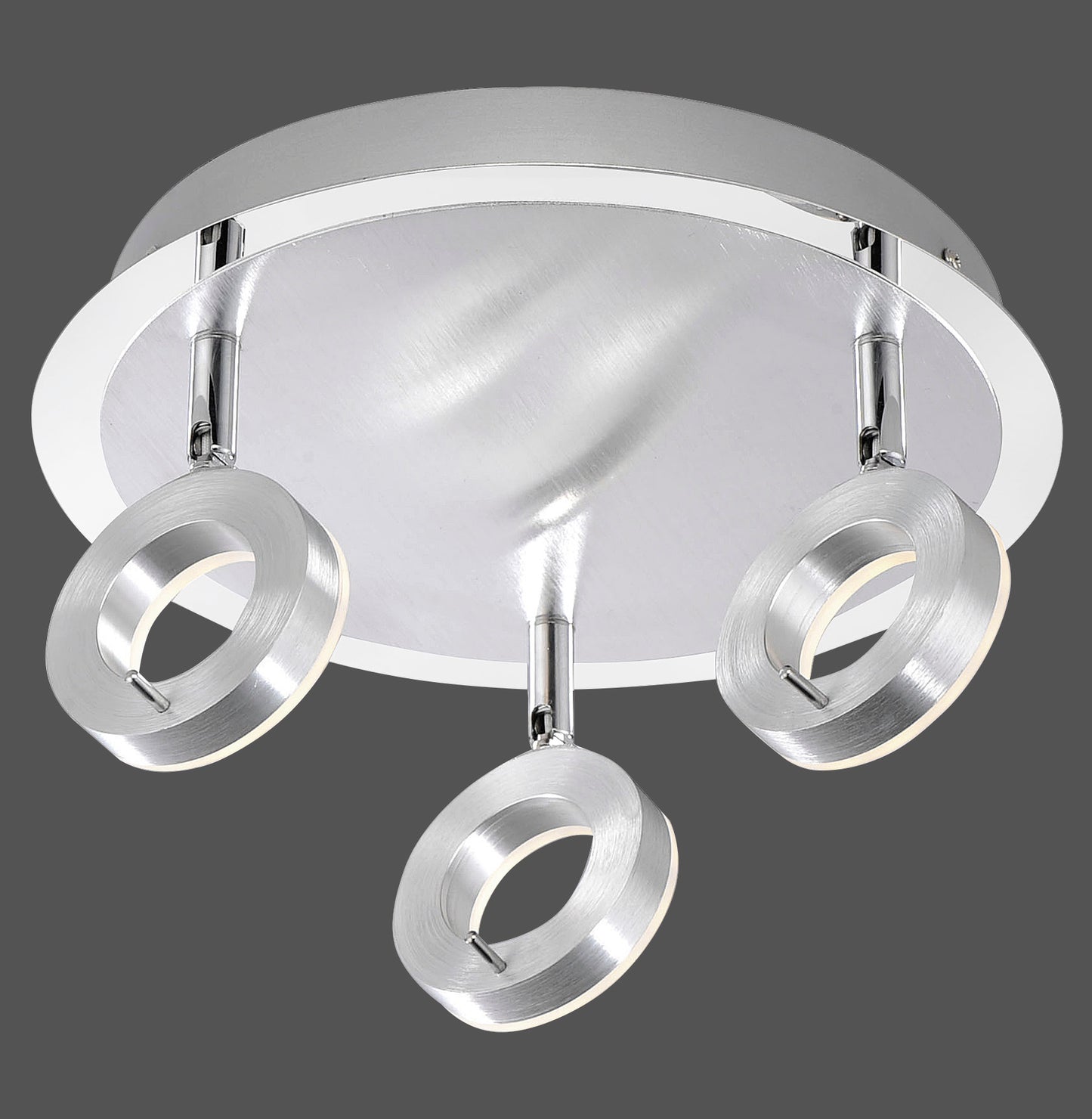 Sileda - Ceiling Light - Aluminium Matt - By Paul Neuhaus - (6788-96)