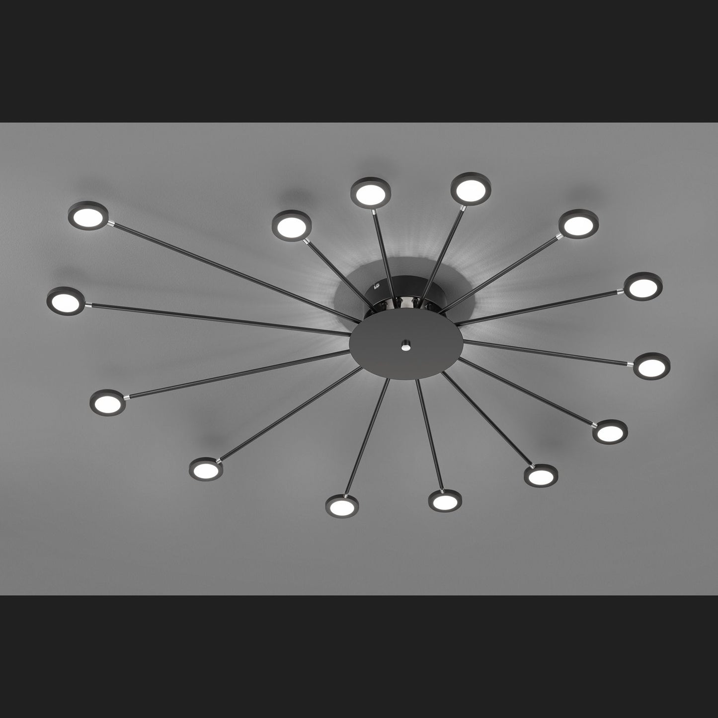 Peacock  - Ceiling lamp - Black Matt - Trio