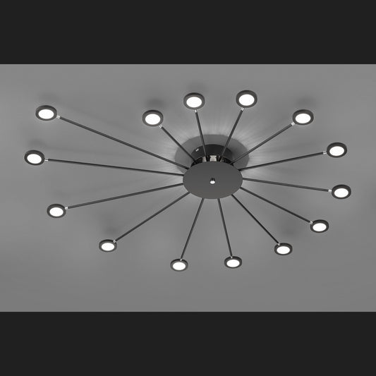 Peacock  - Ceiling lamp - Black Matt - Trio