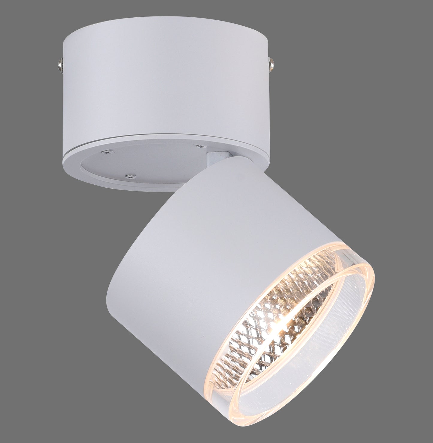 Pure Nola - Recessed & Surface Mounted Light - White - By Paul Neuhaus - (6861-16)