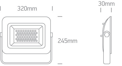 AC LED Floodlights 100