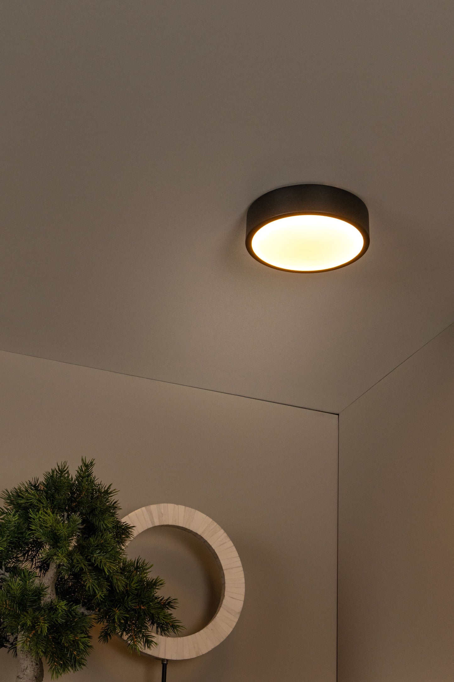 Lucide UNAR - Flush ceiling light - Ø 20 cm - LED Dim. - 1x12W 2700K - 3 StepDim - Black