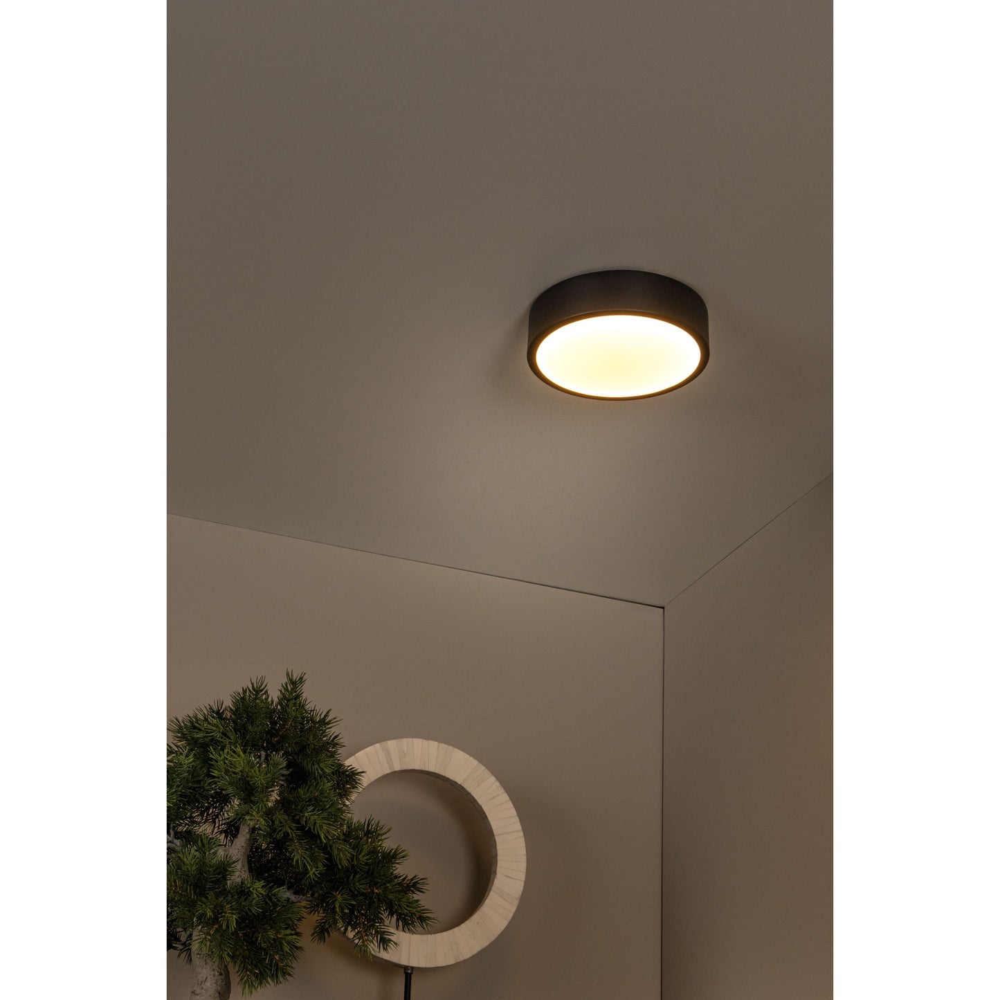 Lucide UNAR - Flush ceiling light - Ø 20 cm - LED Dim. - 1x12W 2700K - 3 StepDim - Black