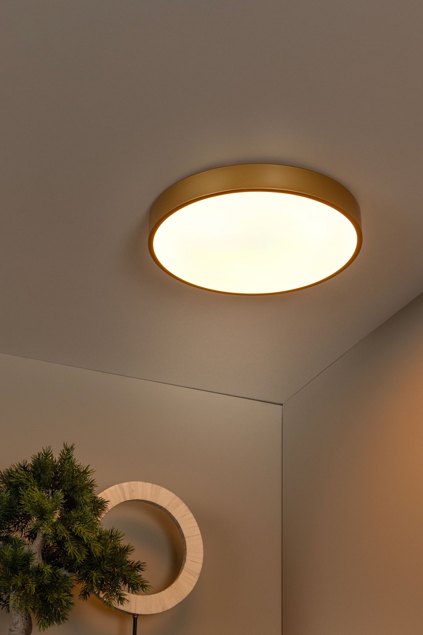 Lucide UNAR - Flush ceiling light - Ø 39,5 cm - LED Dim. - 1x24W 2700K - 3 StepDim - Matt Gold / Brass