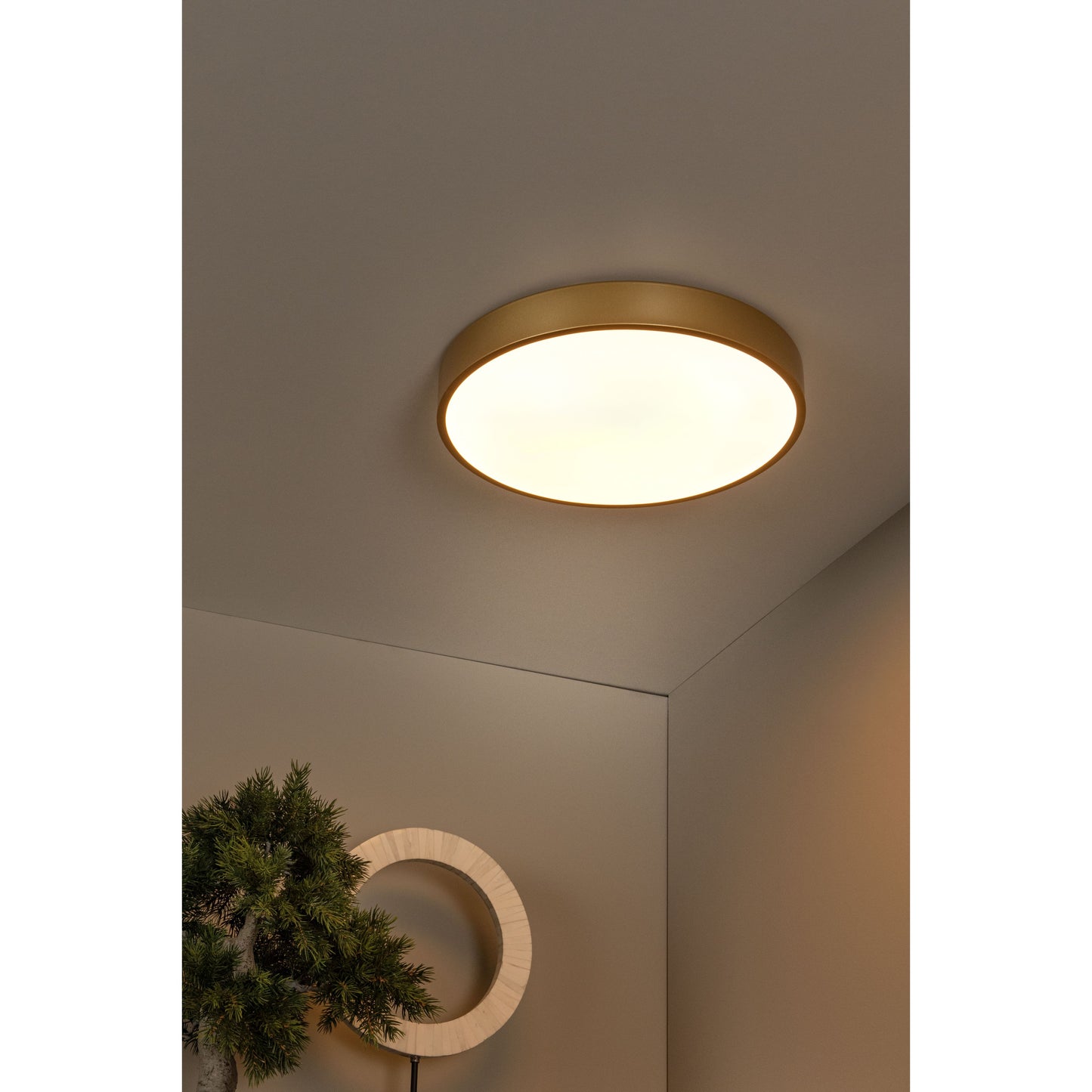 Lucide UNAR - Flush ceiling light - Ø 39,5 cm - LED Dim. - 1x24W 2700K - 3 StepDim - Matt Gold / Brass