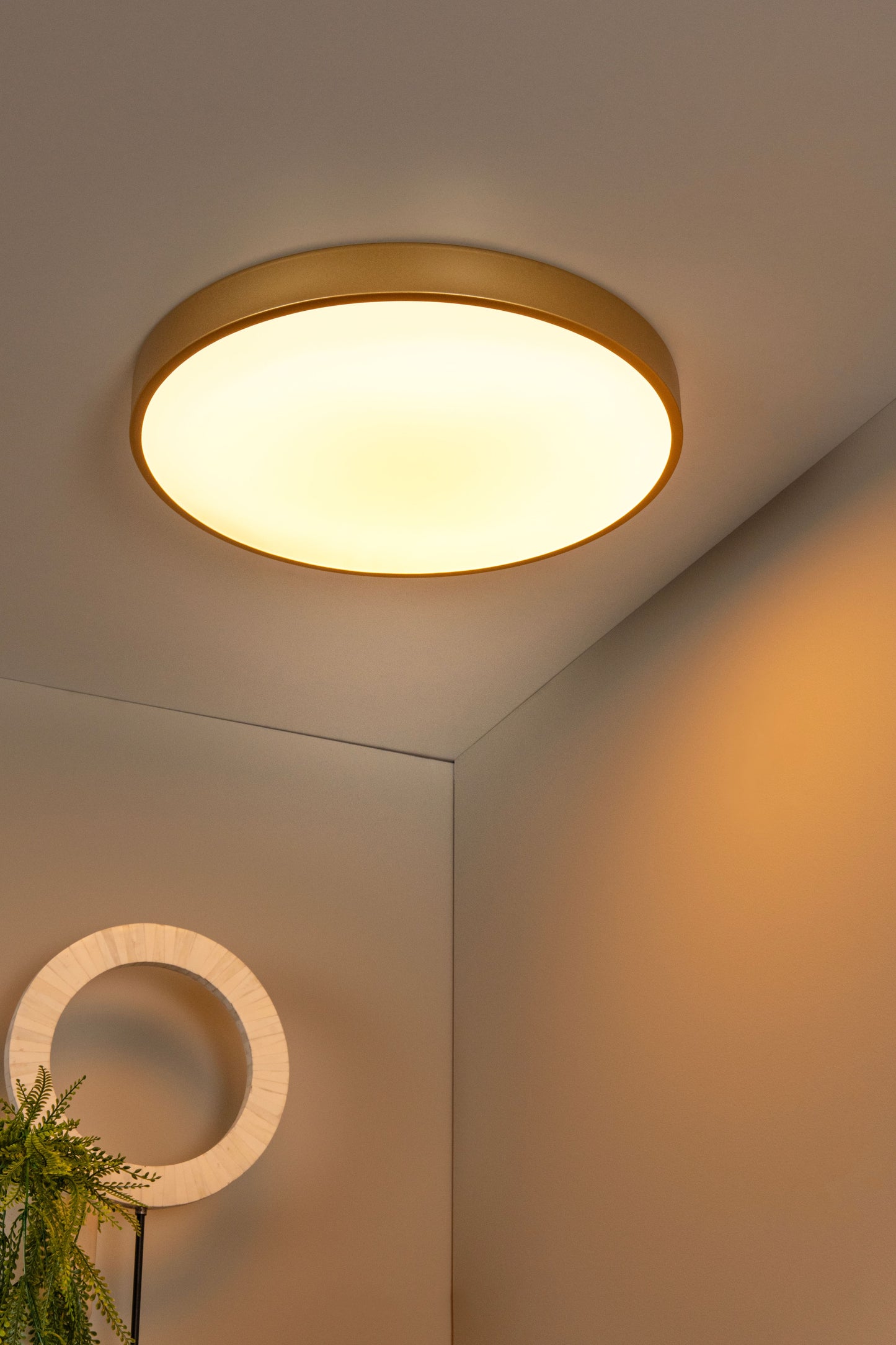 Lucide UNAR - Flush ceiling light - Ø 49,5 cm - LED Dim. - 1x36W 2700K - 3 StepDim - Matt Gold / Brass