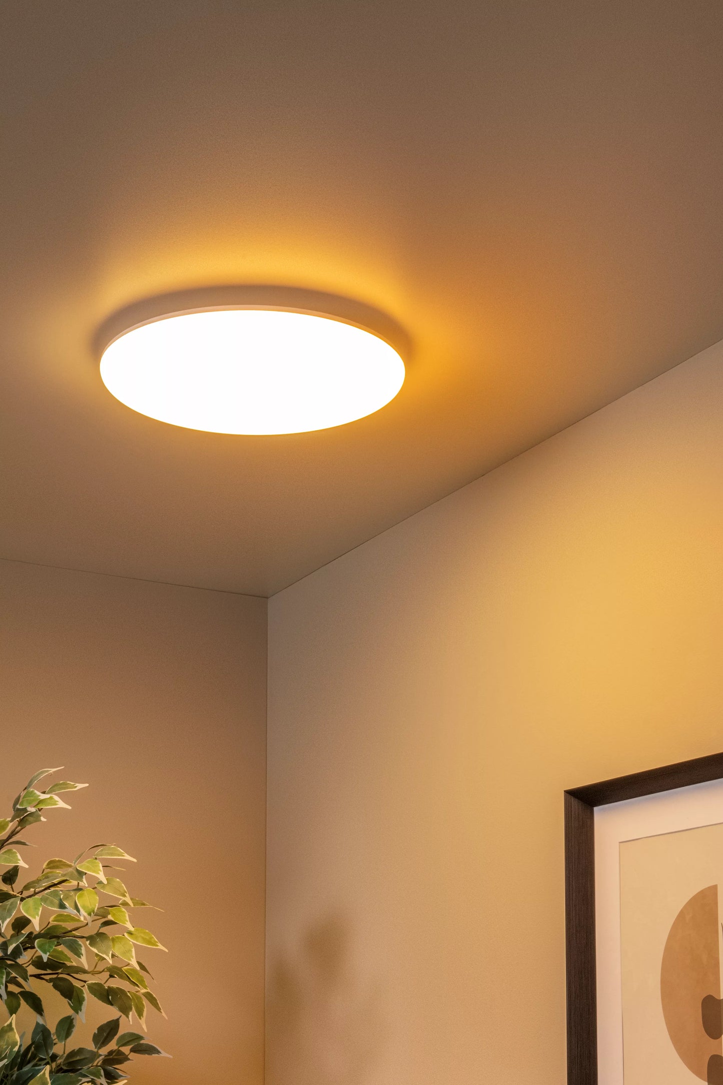 Lucide OLSON - Flush ceiling light Bathroom - Ø 35 cm - LED - CCT - 1x36W 3000K/6500K - IP44 - Opal