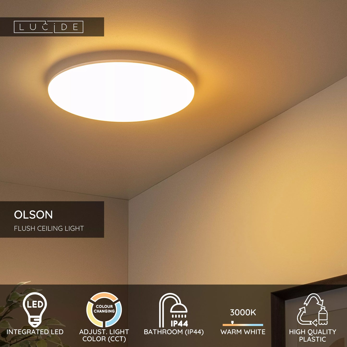 Lucide OLSON - Flush ceiling light Bathroom - Ø 35 cm - LED - CCT - 1x36W 3000K/6500K - IP44 - Opal