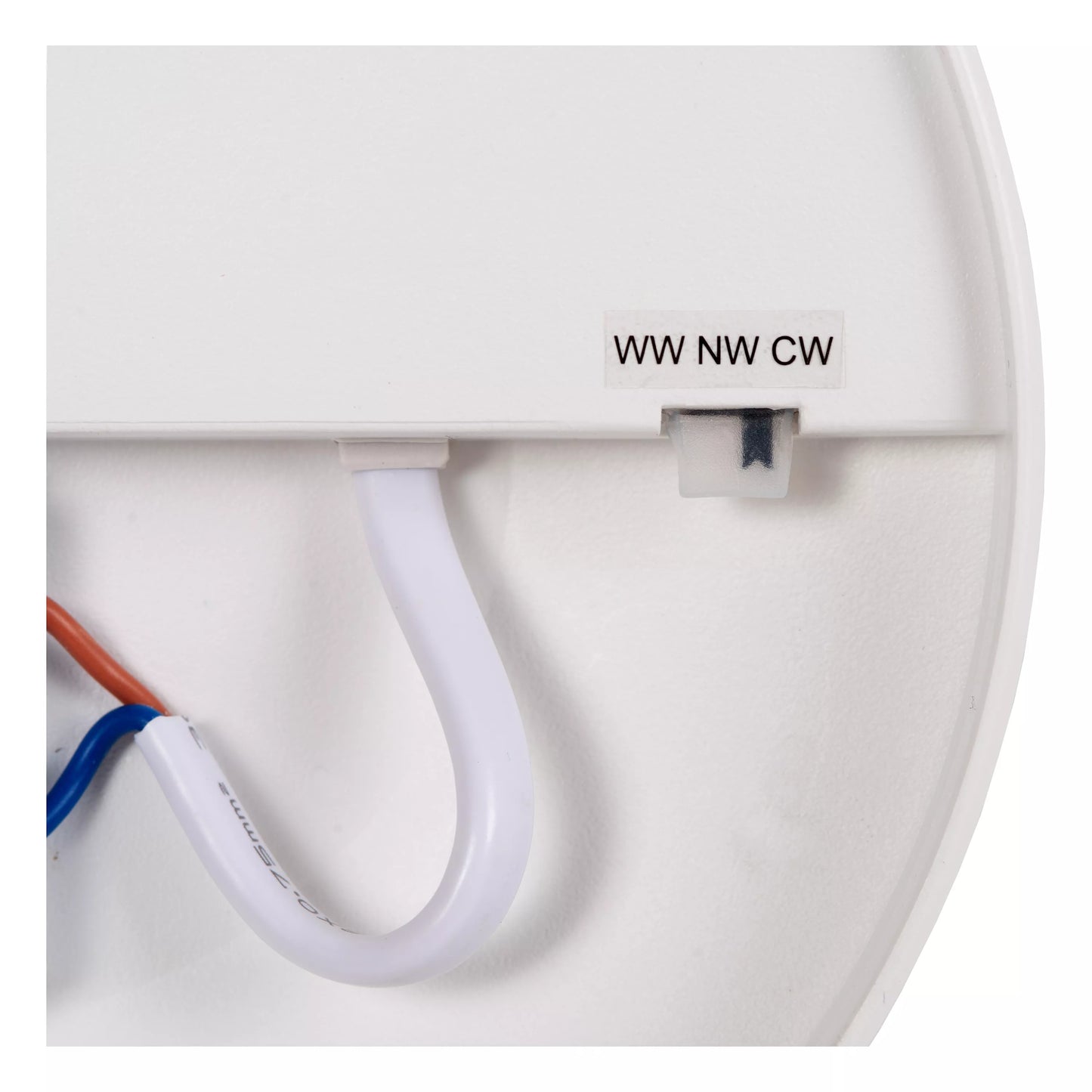Lucide OLSON - Flush ceiling light Bathroom - Ø 45 cm - LED - CCT - 1x45W 3000K/6500K - IP44 - Opal