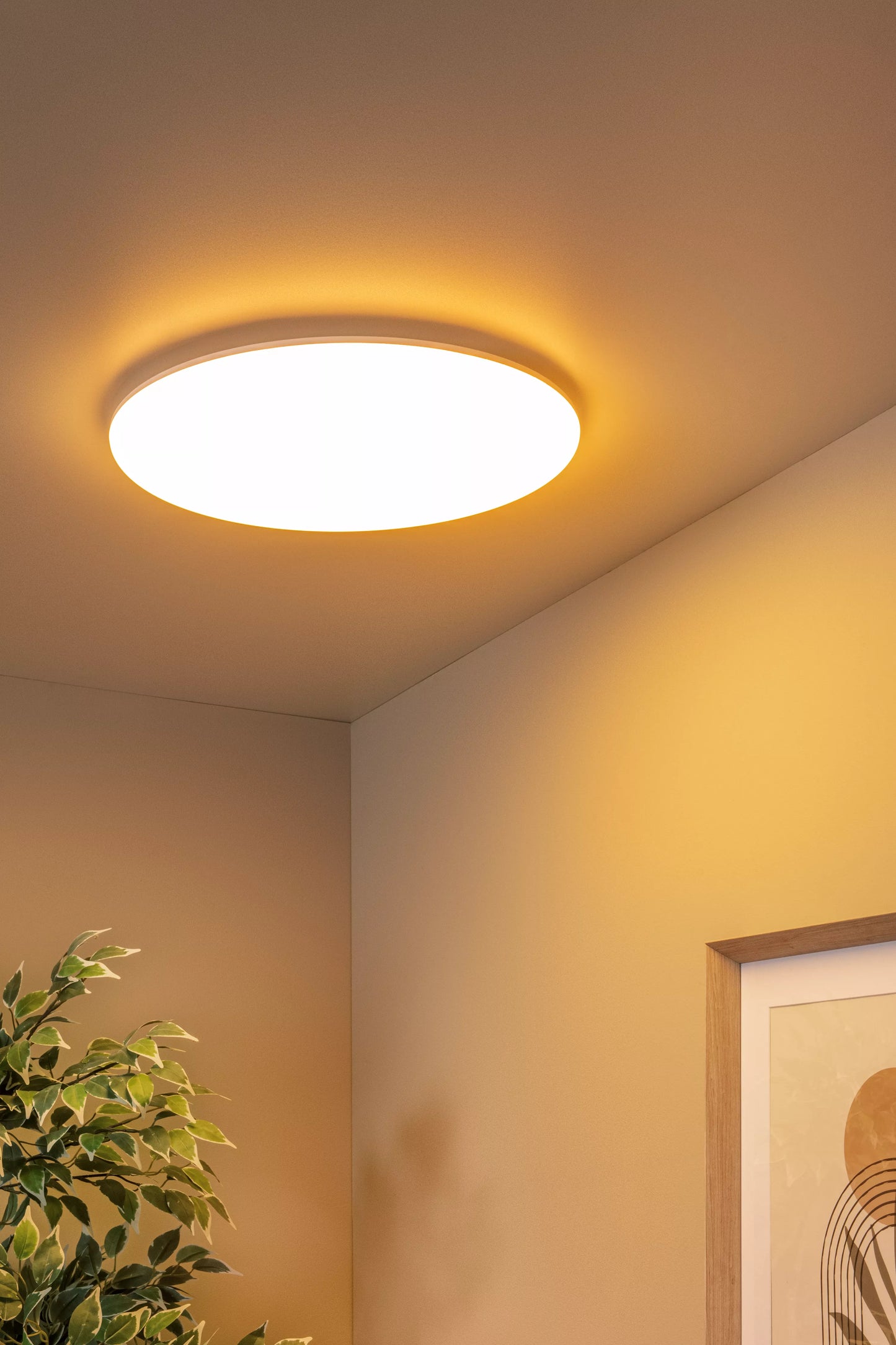 Lucide OLSON - Flush ceiling light Bathroom - Ø 45 cm - LED - CCT - 1x45W 3000K/6500K - IP44 - Opal