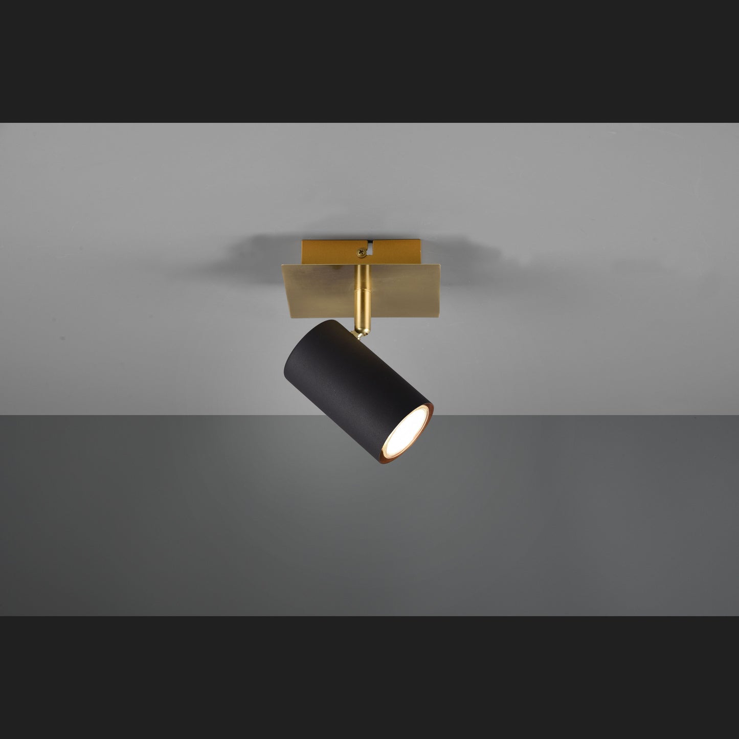 Marley  - Spot - Black - Gold - Trio