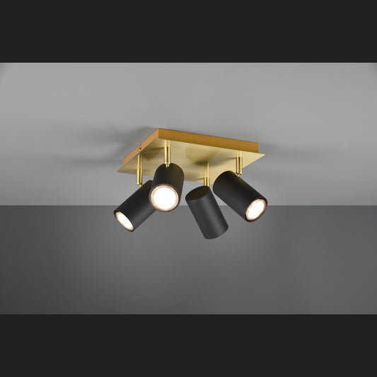 Marley  - Spot - Black - Gold - Trio