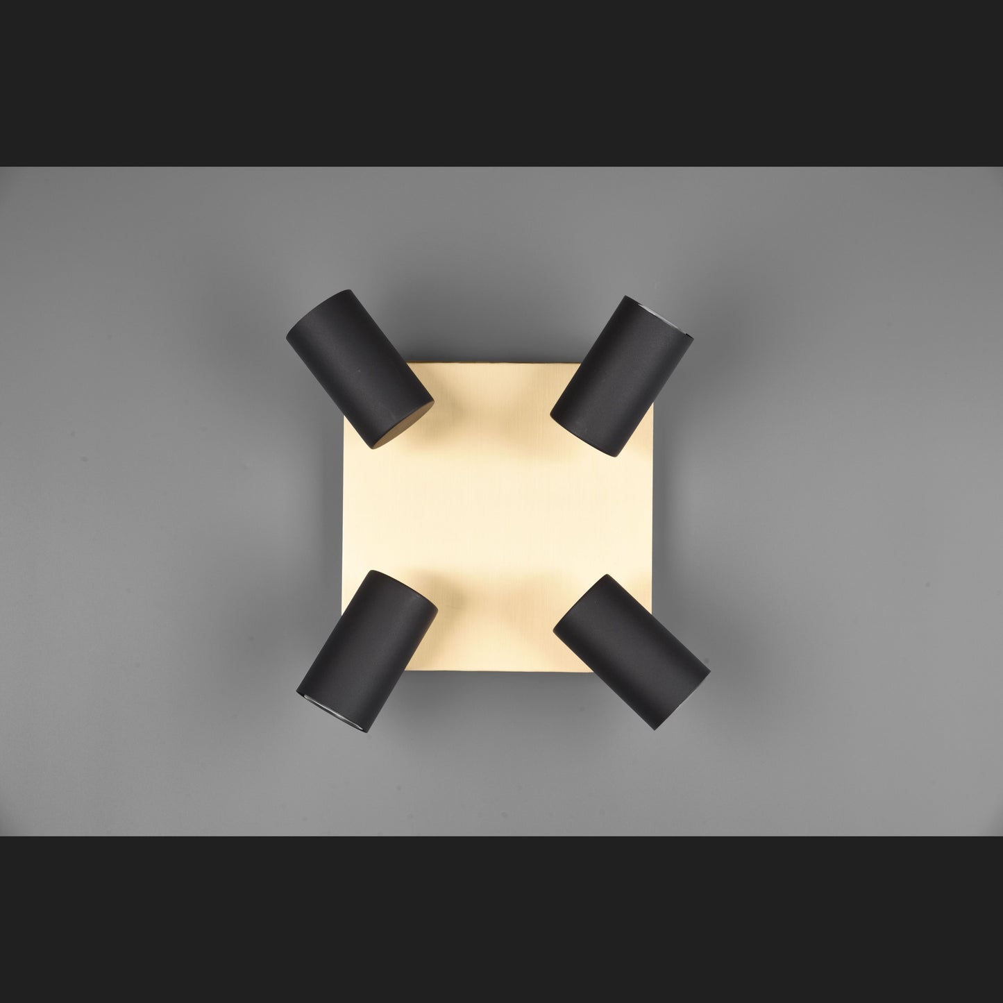 Marley  - Spot - Black - Gold - Trio