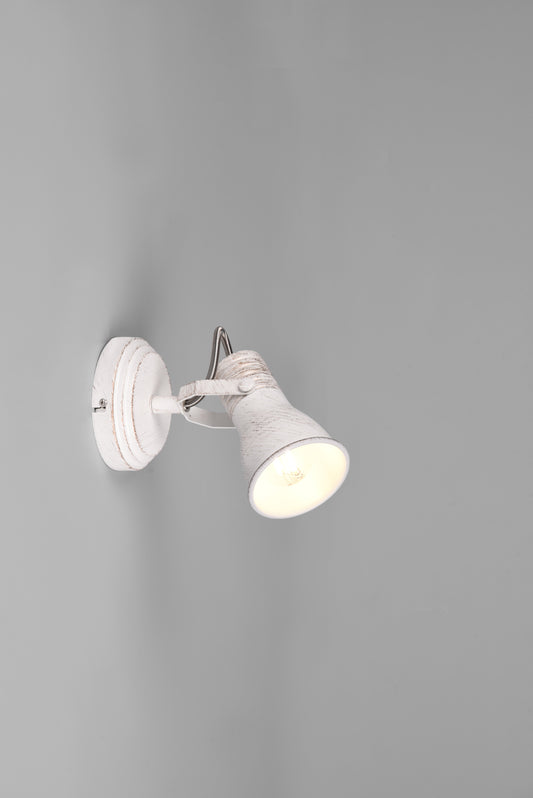 Steam  - Spot - Antique White - Trio