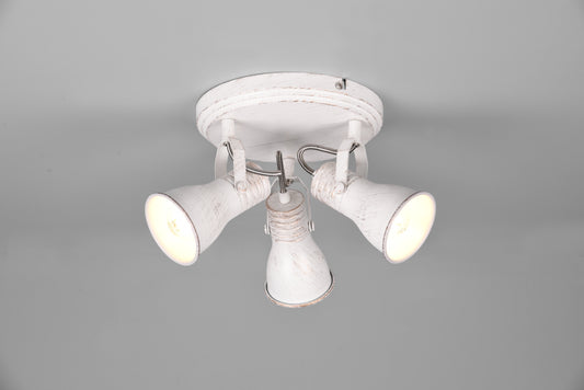 Steam  - Spot - Antique White - Trio