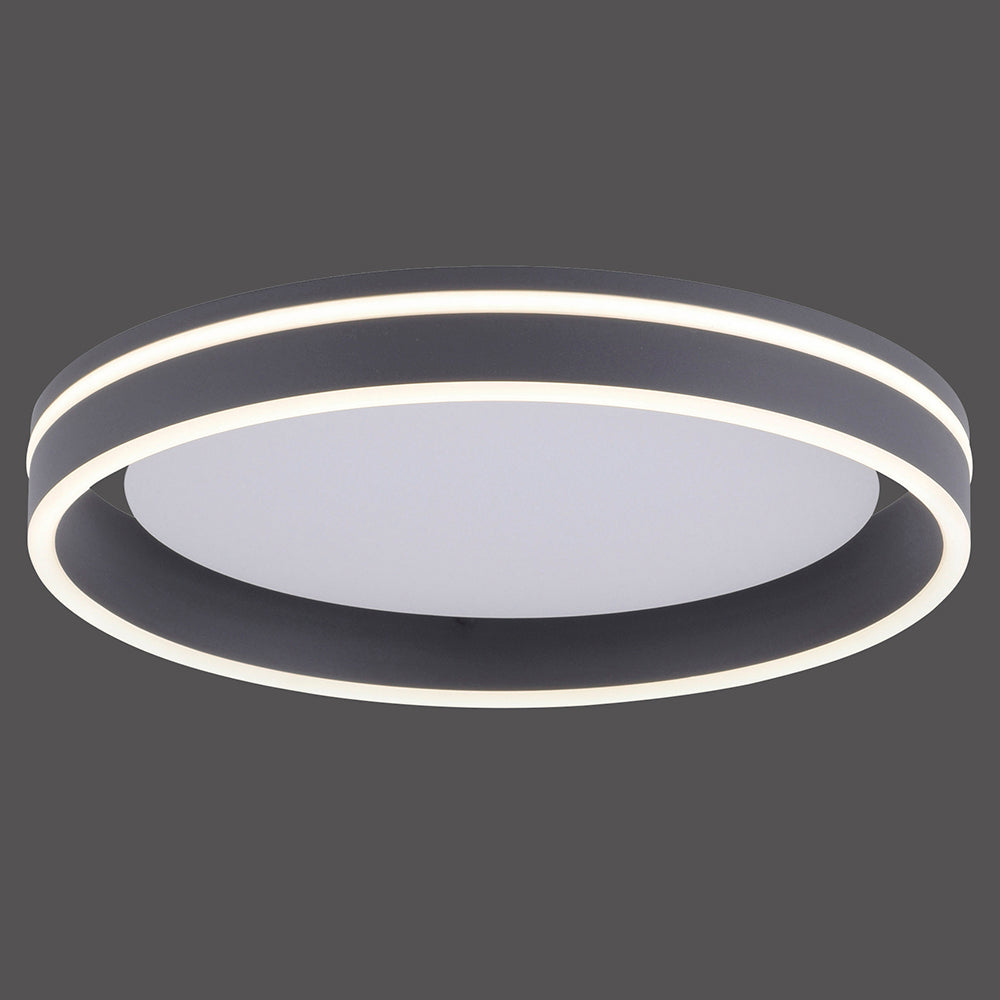 Q-Vito - Ceiling Light - Anthrazit - By Paul Neuhaus - (8414-13)