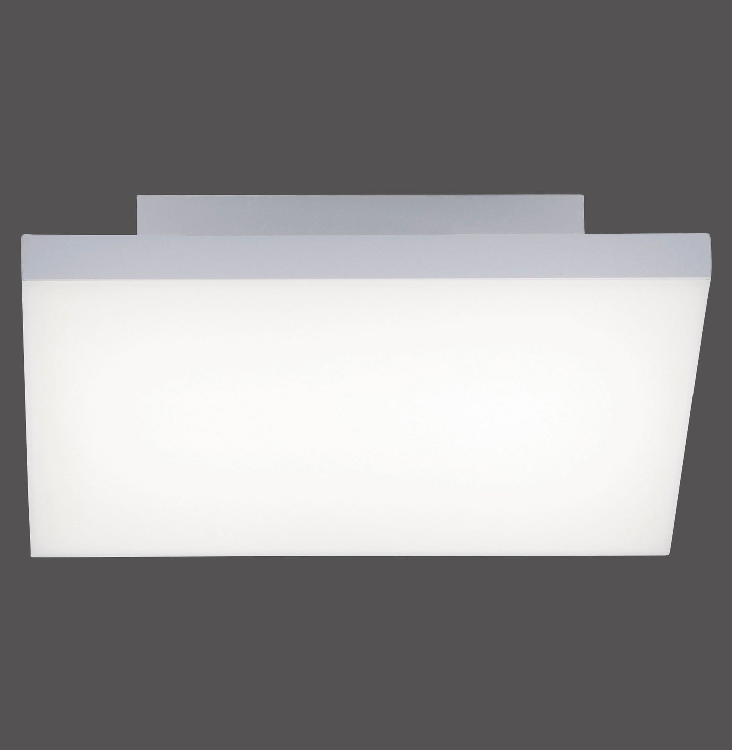 Frameless - Ceiling Light - White - By Paul Neuhaus - (8490-16)