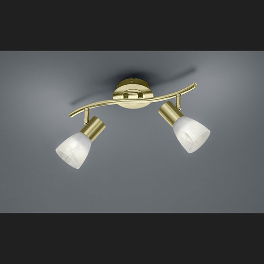 Levisto  - Spot - Alabaster Coloured - Trio