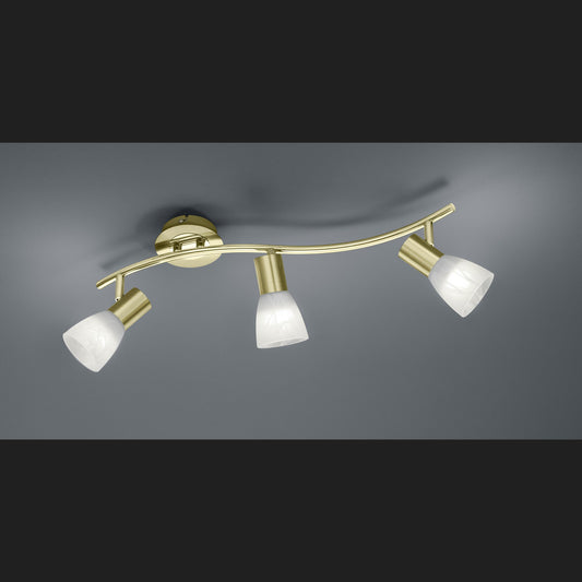 Levisto  - Spot - Alabaster Coloured - Trio