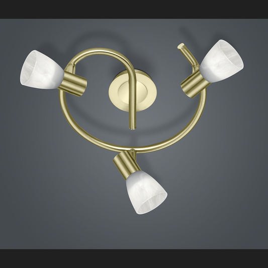 Levisto  - Spot - Alabaster Coloured - Trio