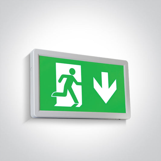 Emergency LED Ceiling Signs
