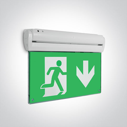 Emergency LED Ceiling Signs