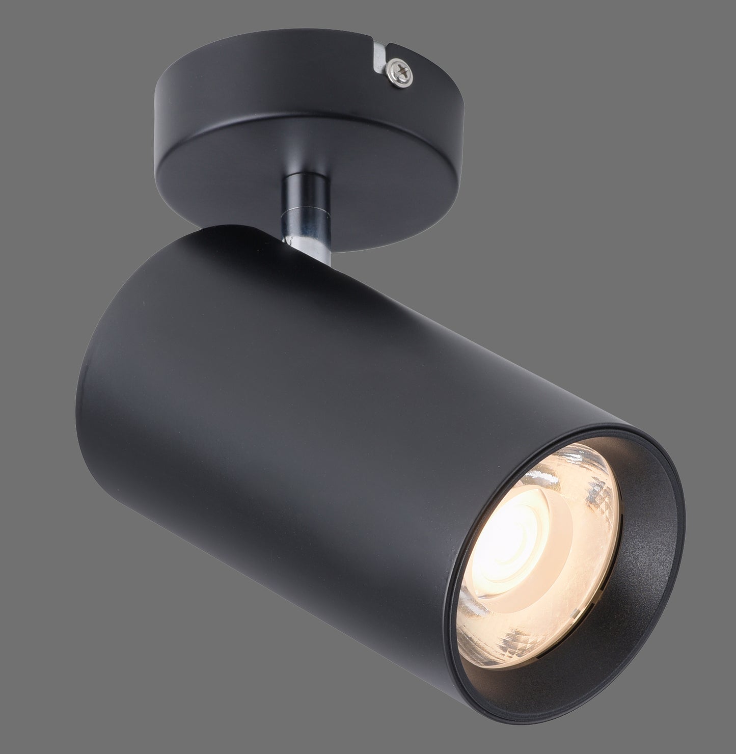 Pure Technik - Wall And Ceiling Light - Black - By Paul Neuhaus - (9214-18)