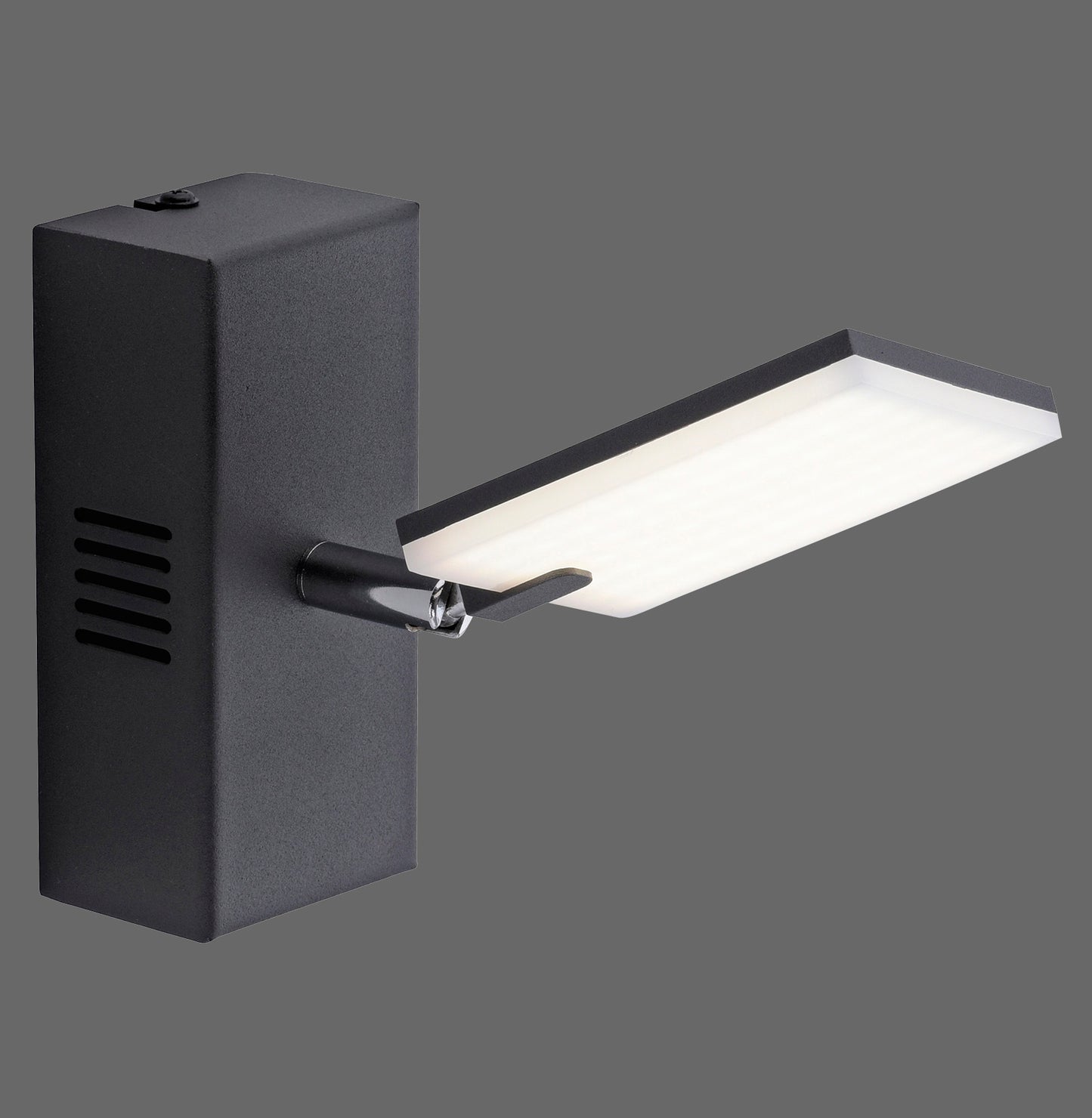 Pure Mira - Wall Light - Black - By Paul Neuhaus - (9353-18)