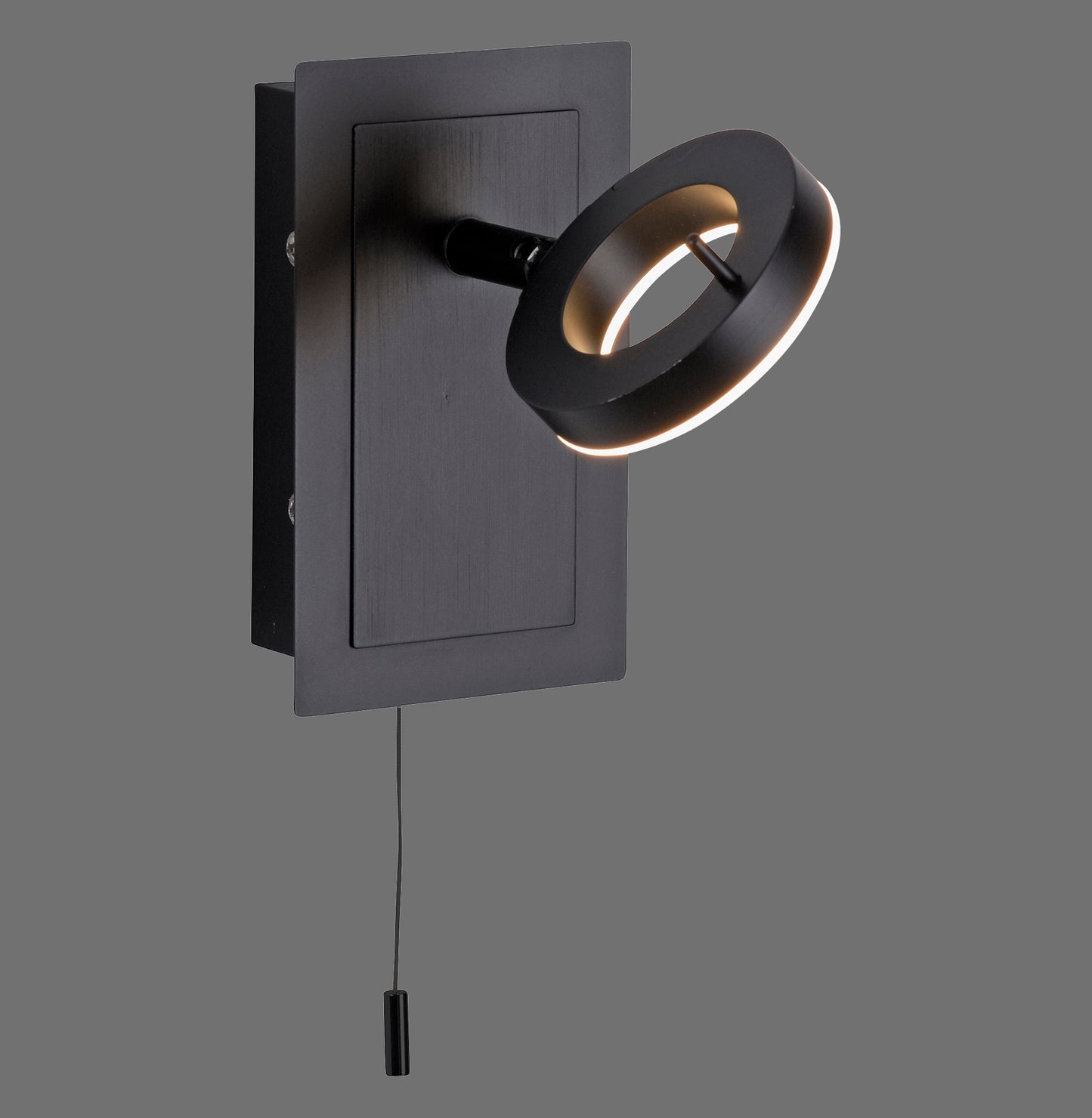 Sileda - Wall Light - Anthrazit - By Paul Neuhaus - (9785-13)