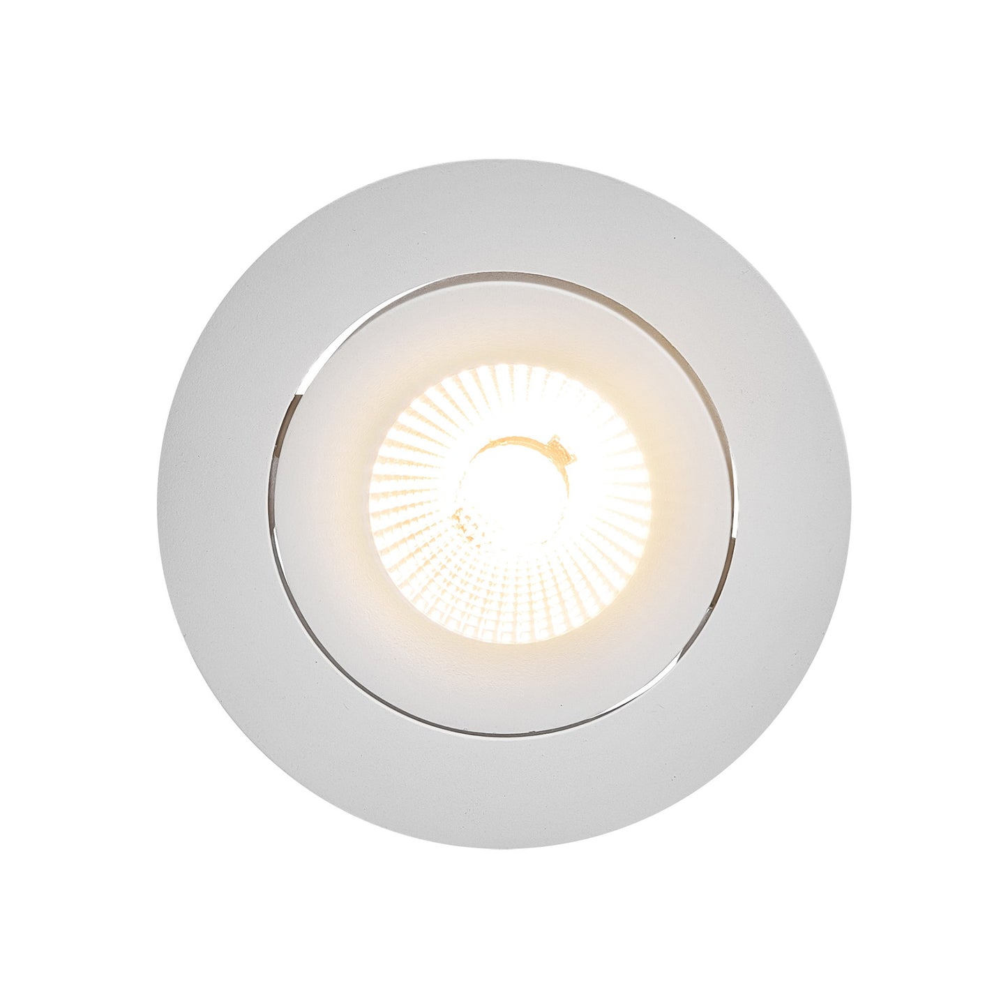 Aliki - Downlight