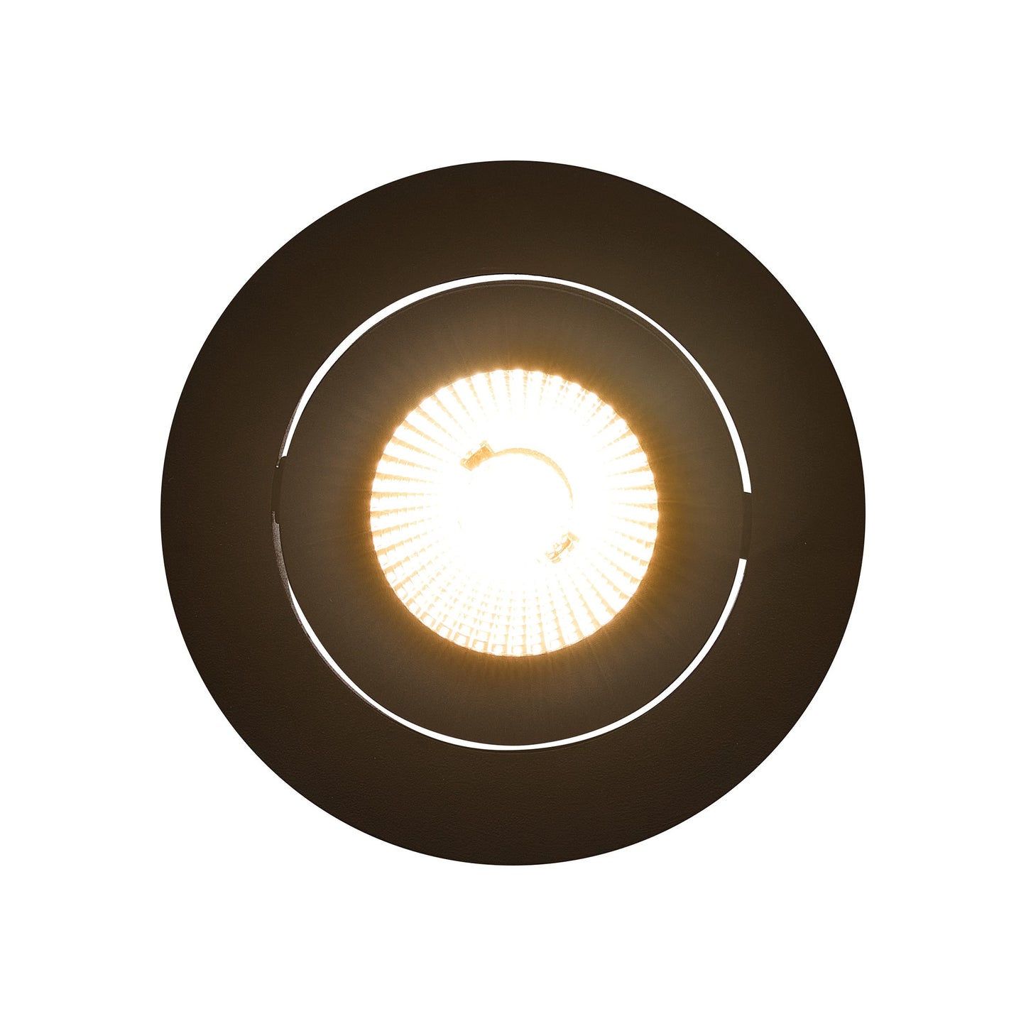 Aliki - Downlight