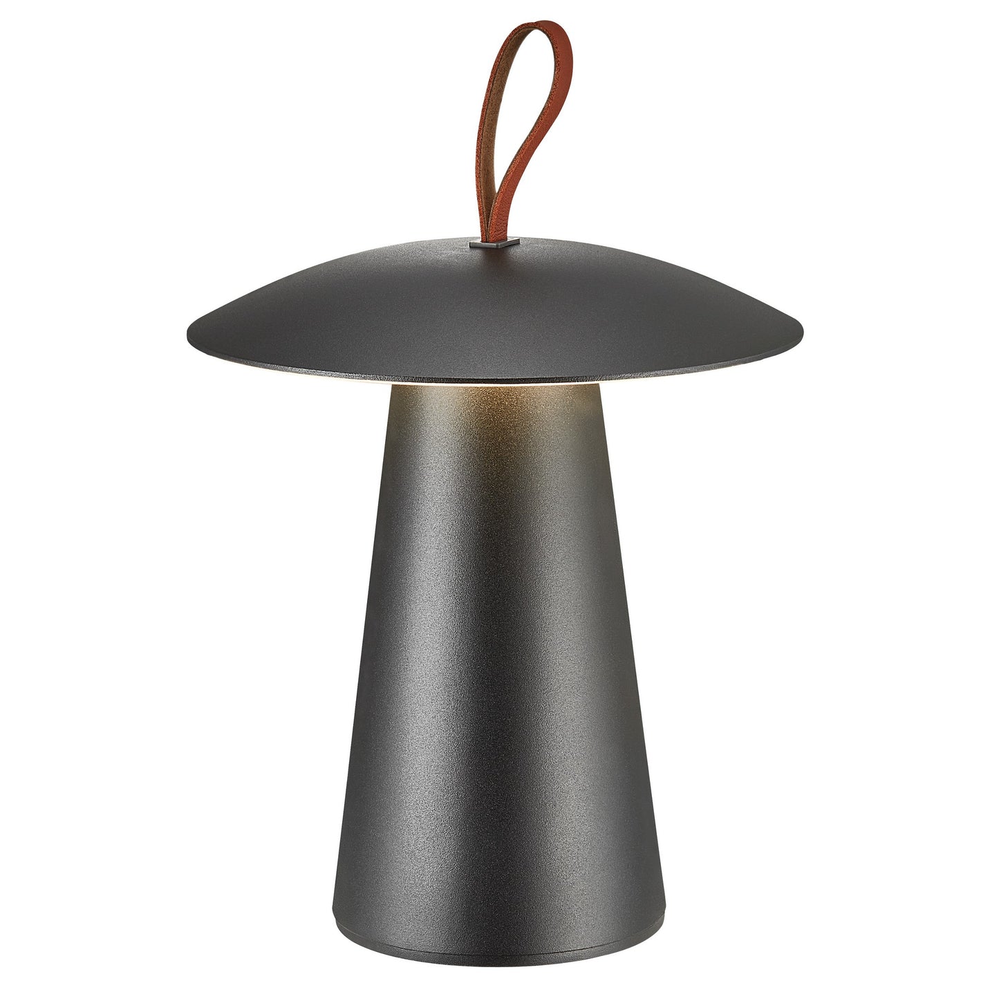 Ara To-Go 2 - Battery light