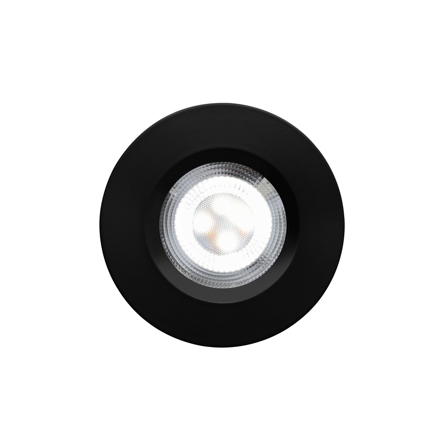 Don Smart - Colour - Downlight