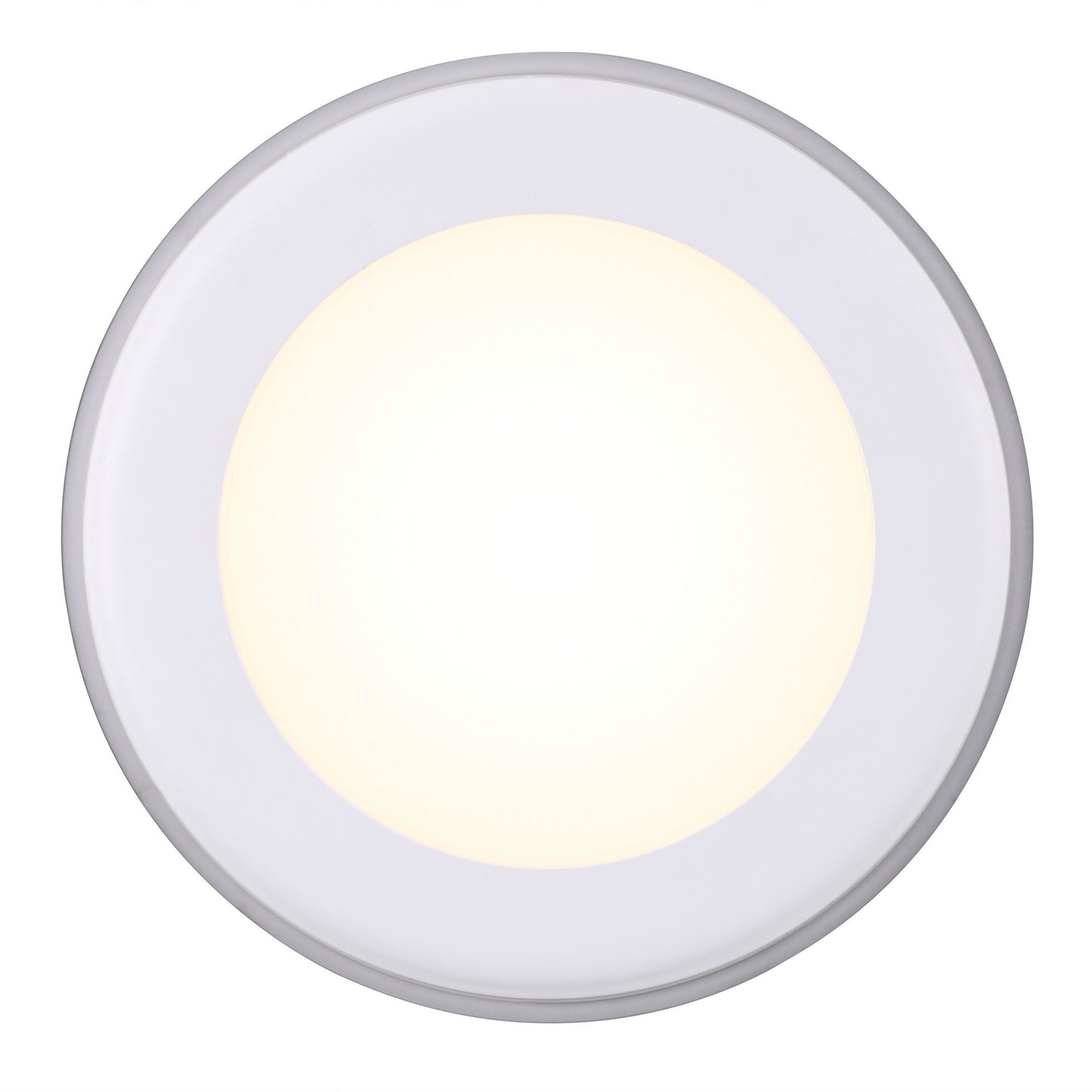 Elkton 14 - Downlight