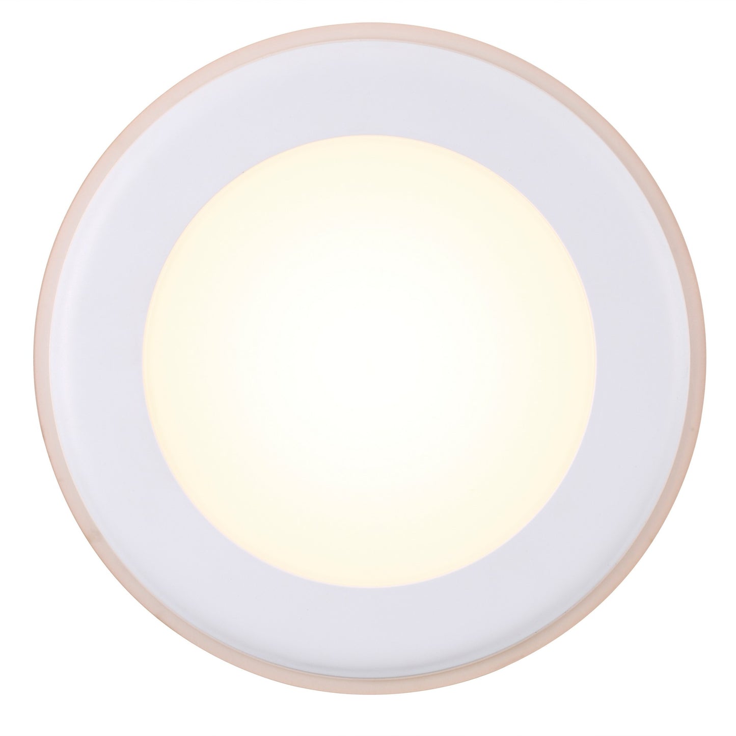 Elkton 14 - Downlight