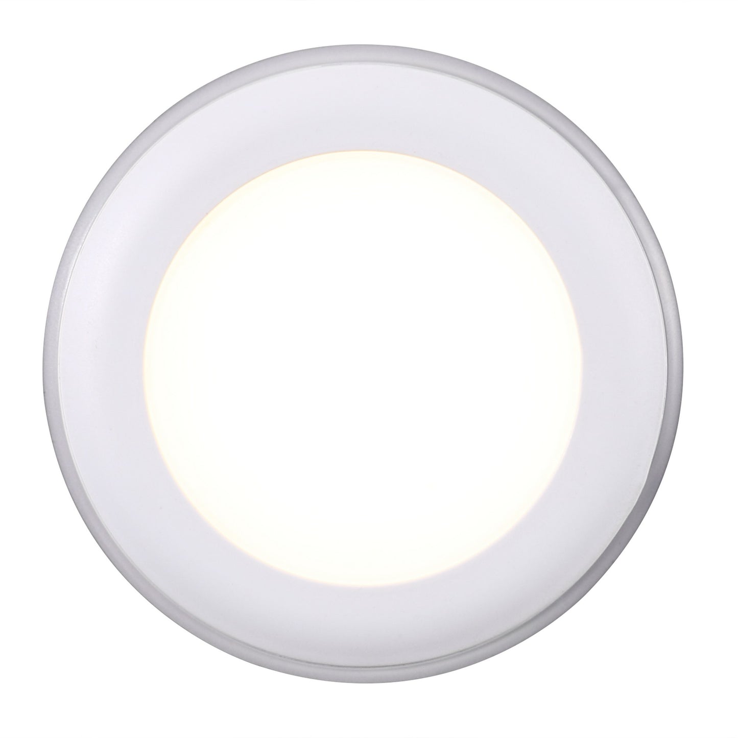 Elkton 8 - Downlight