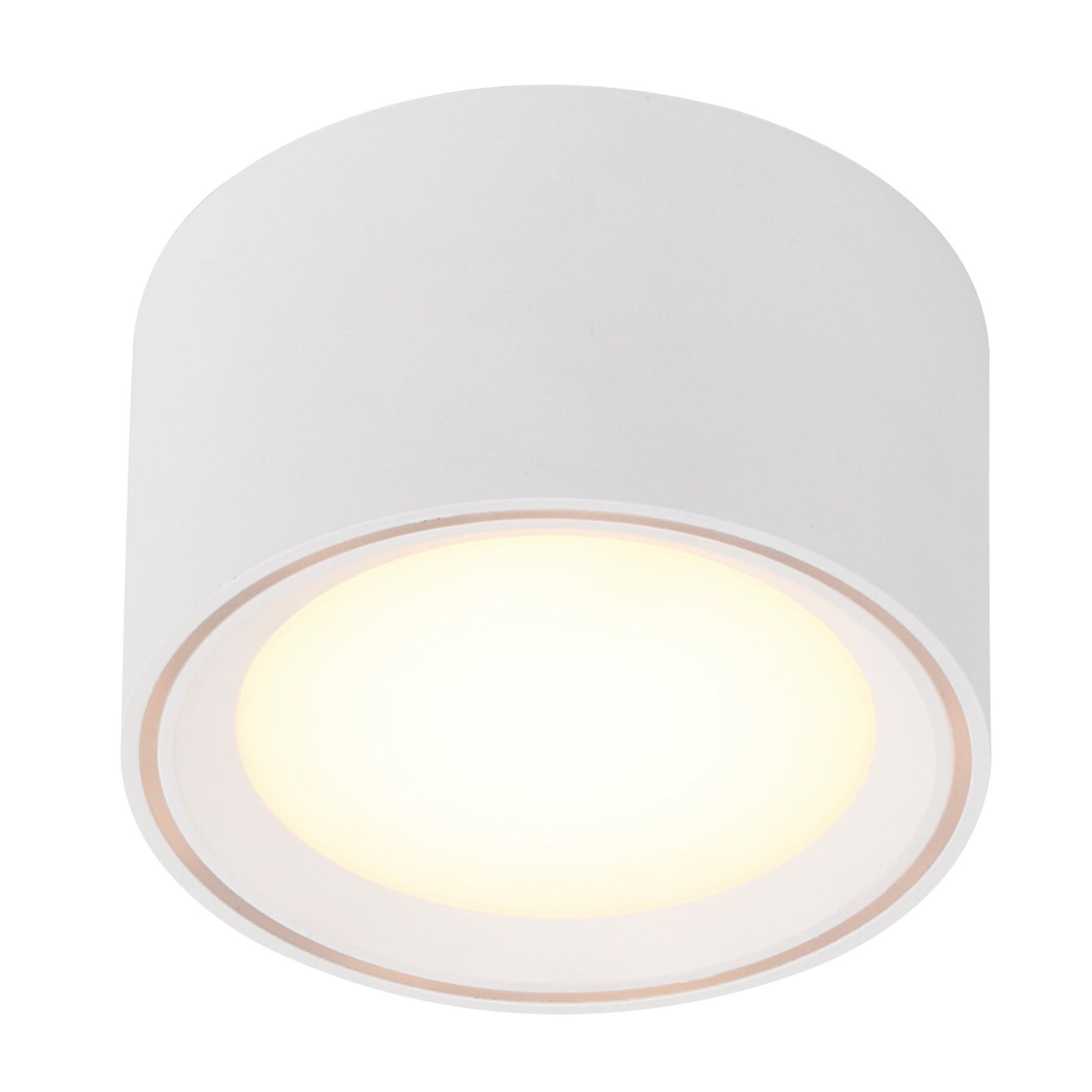 Fallon - Surface downlight