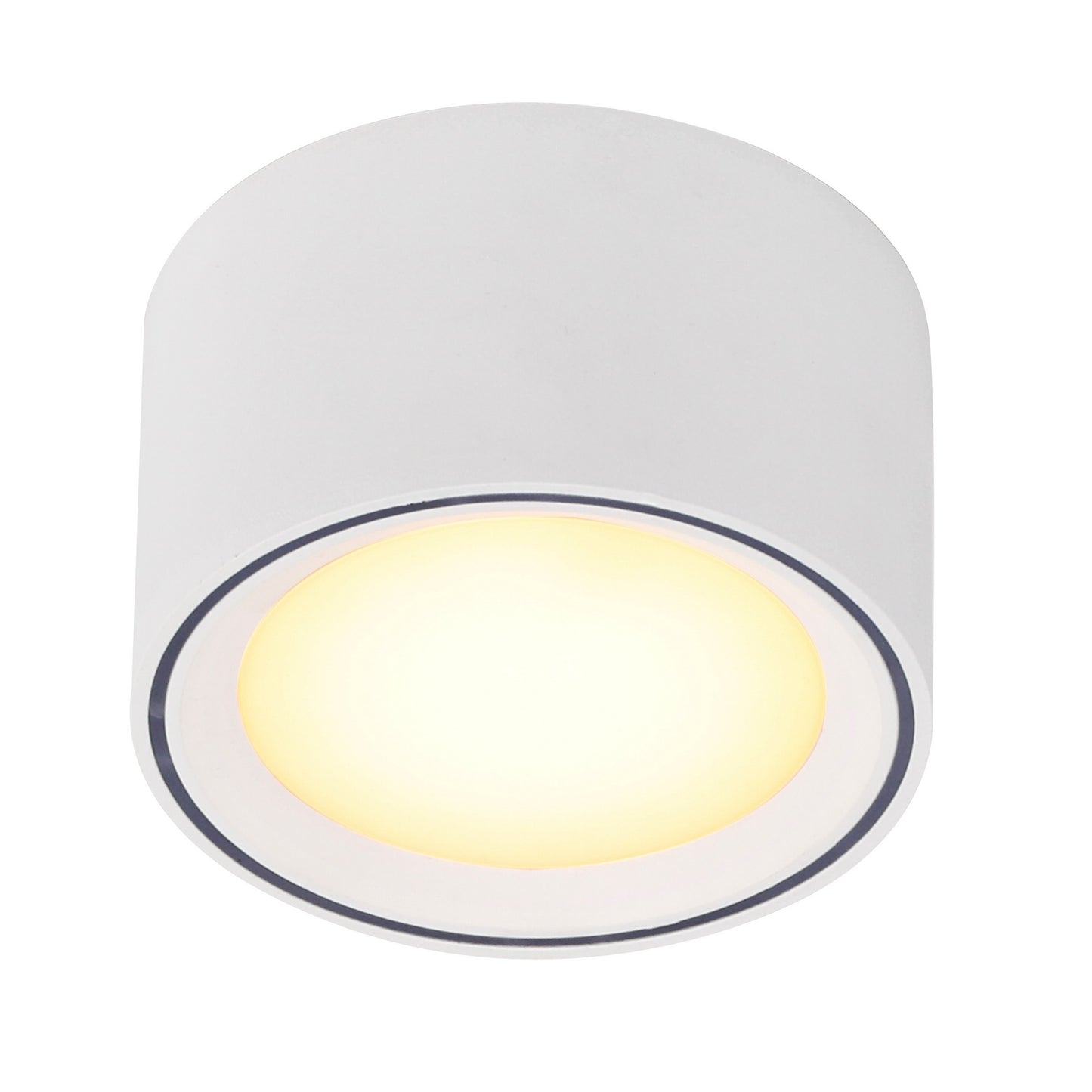 Fallon - Surface downlight