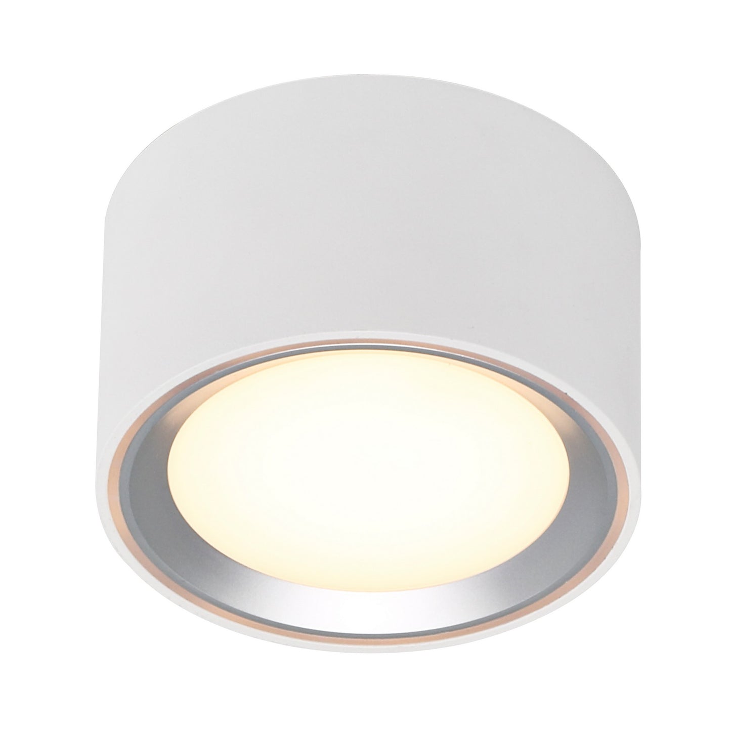 Fallon - Surface downlight