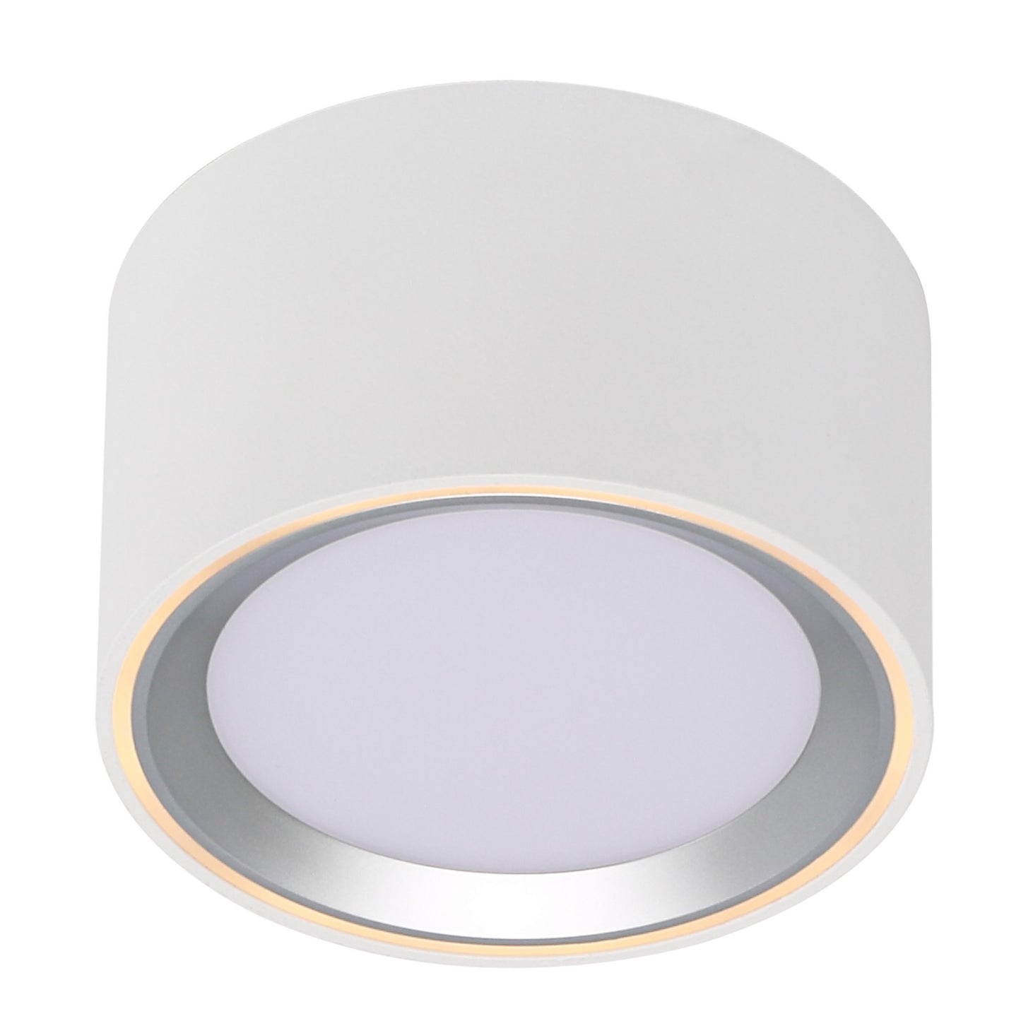 Fallon - Surface downlight