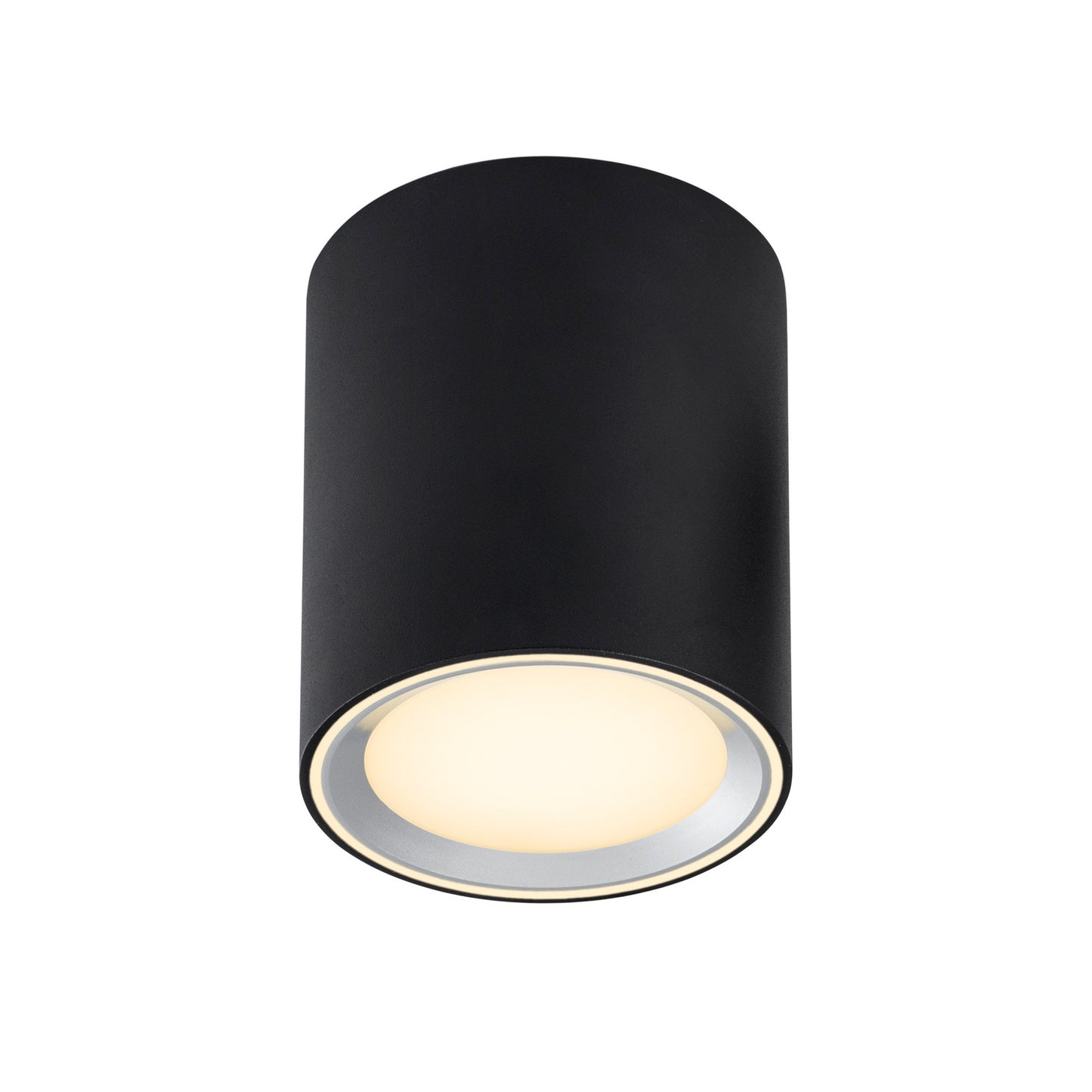 Fallon Long - Surface downlight