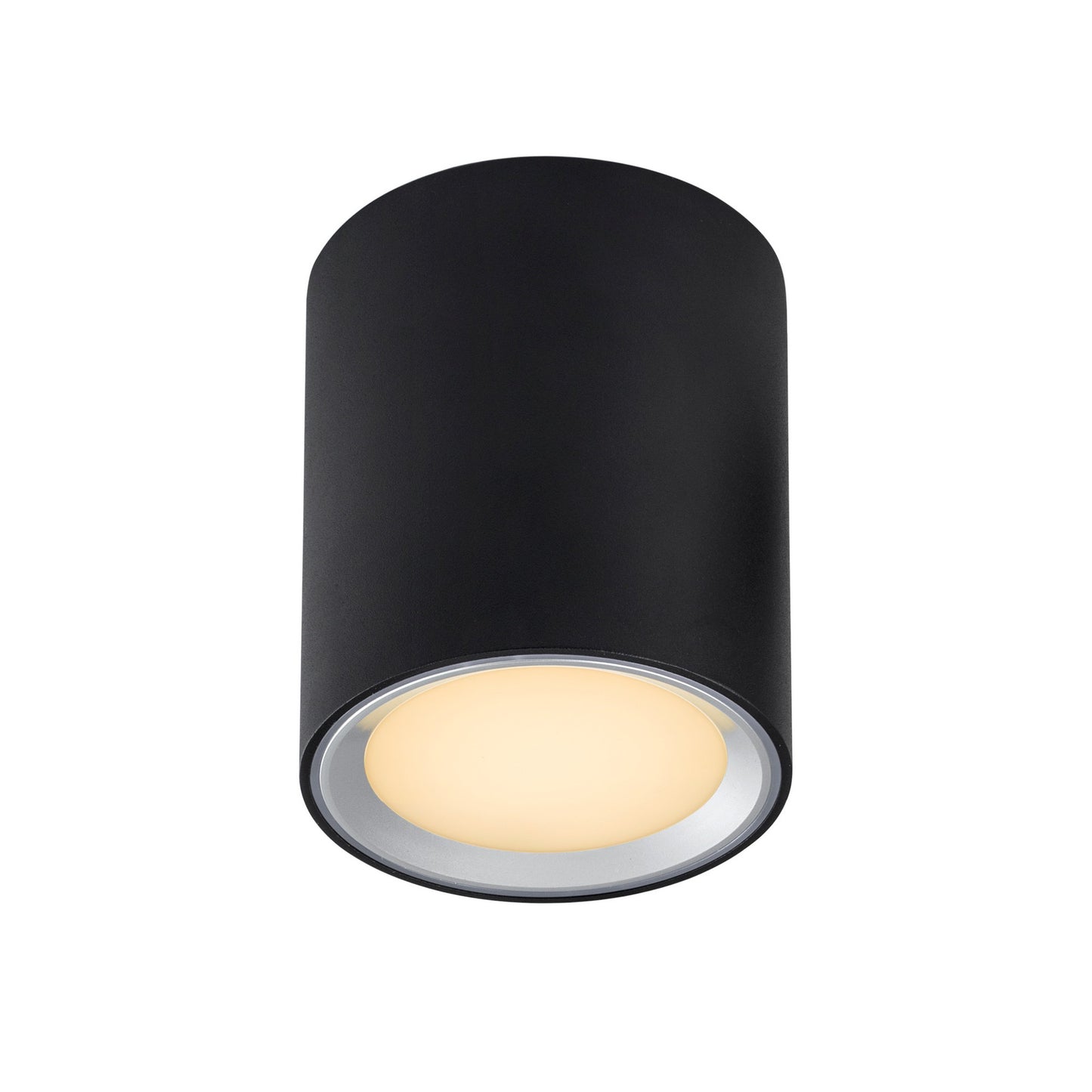 Fallon Long - Surface downlight