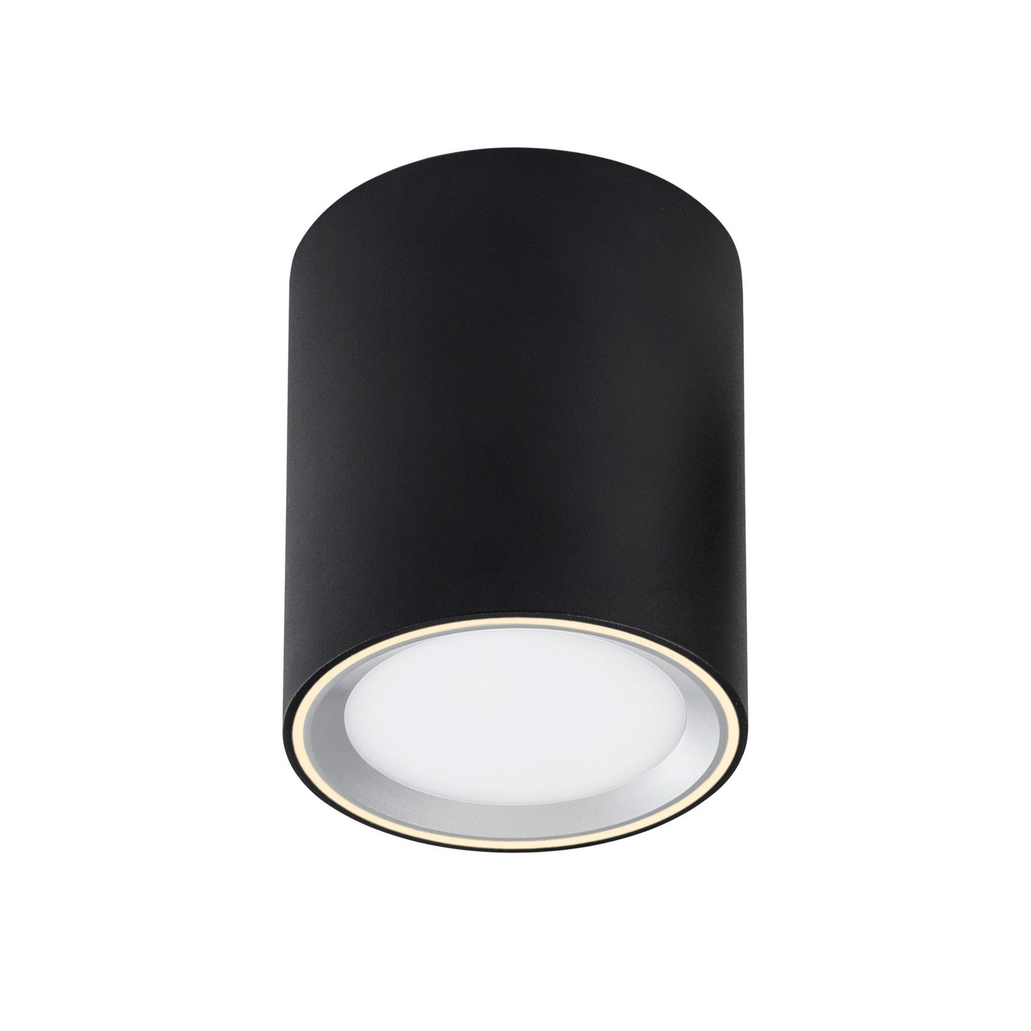 Fallon Long - Surface downlight