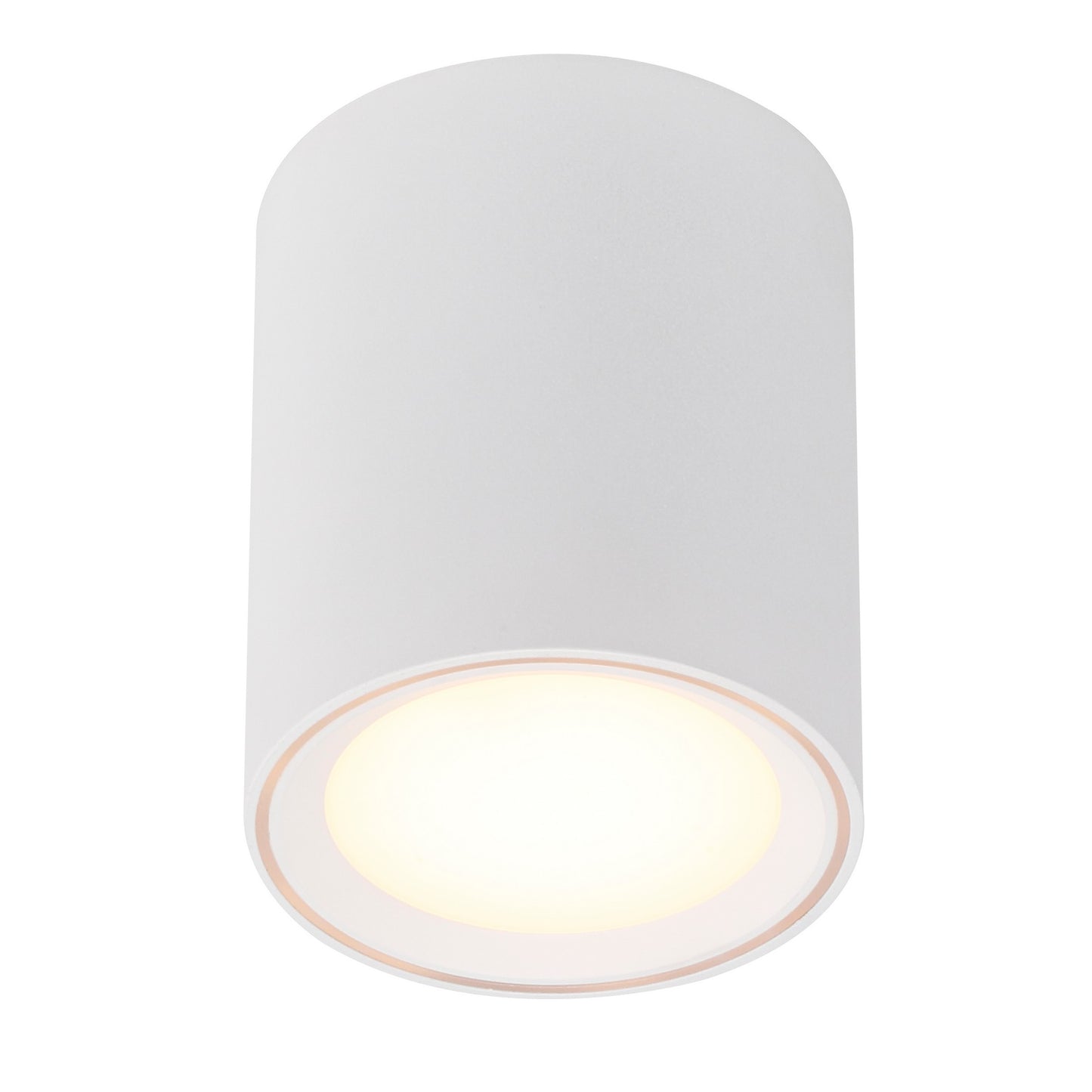 Fallon Long - Surface downlight