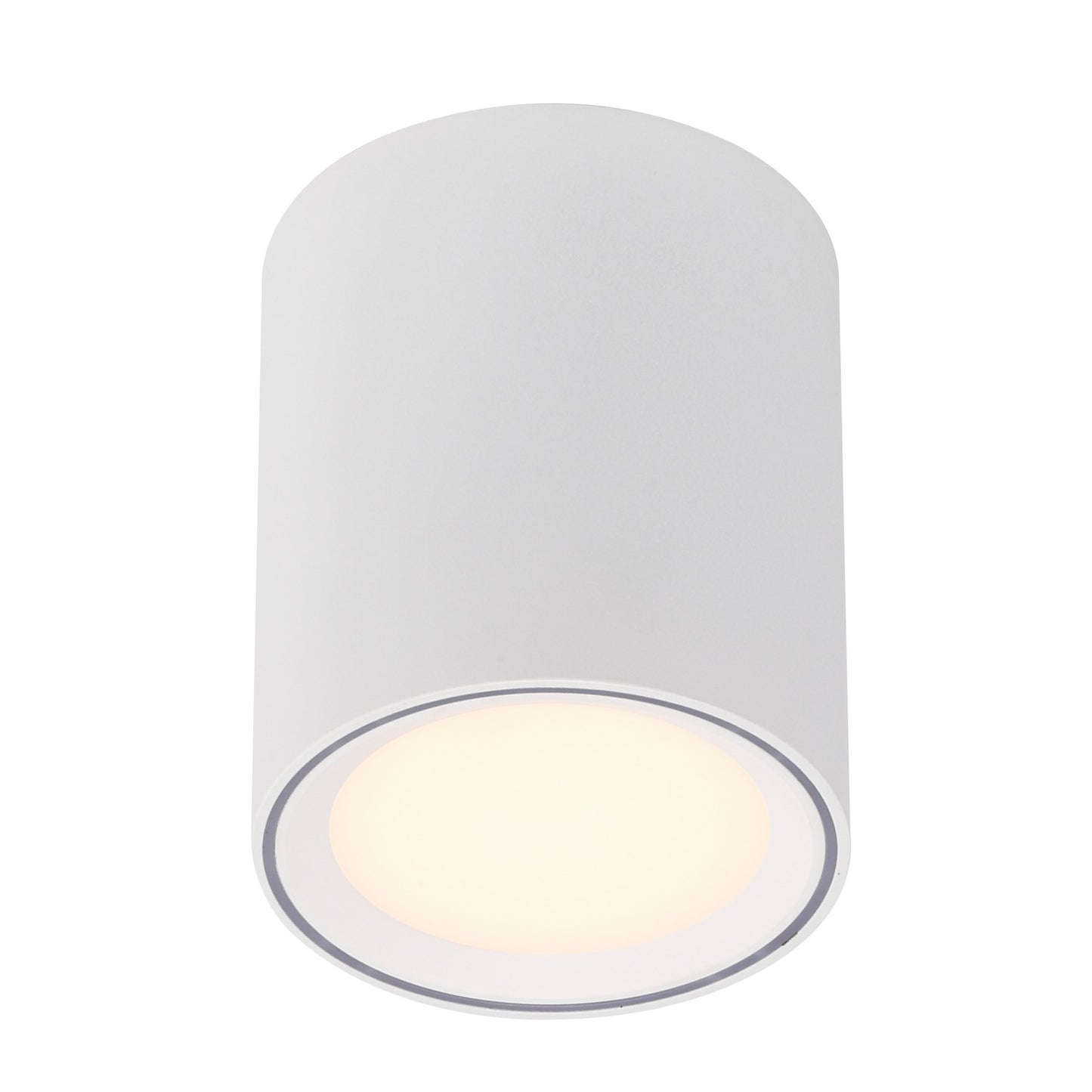 Fallon Long - Surface downlight
