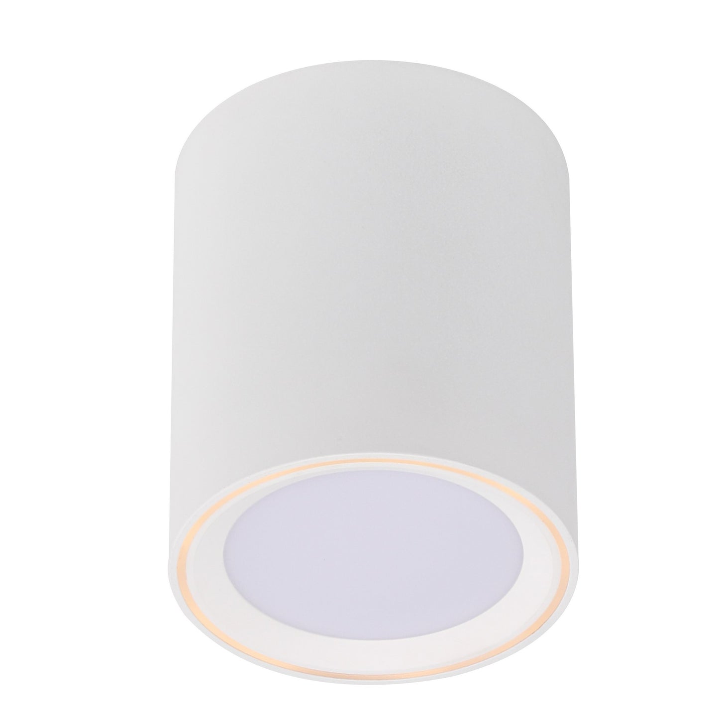Fallon Long - Surface downlight
