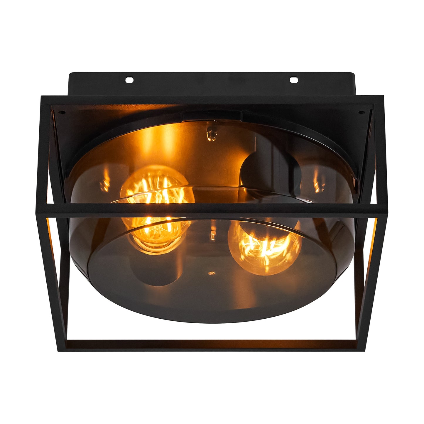 Griffin - Ceiling light