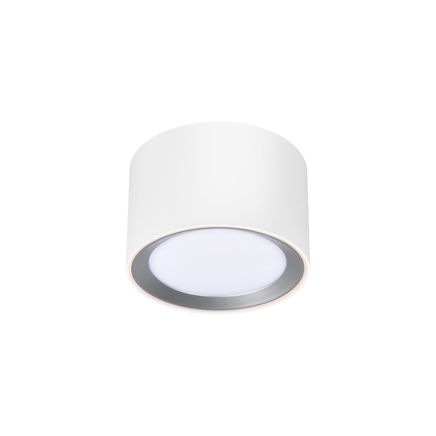 Landon 8 - Surface downlight