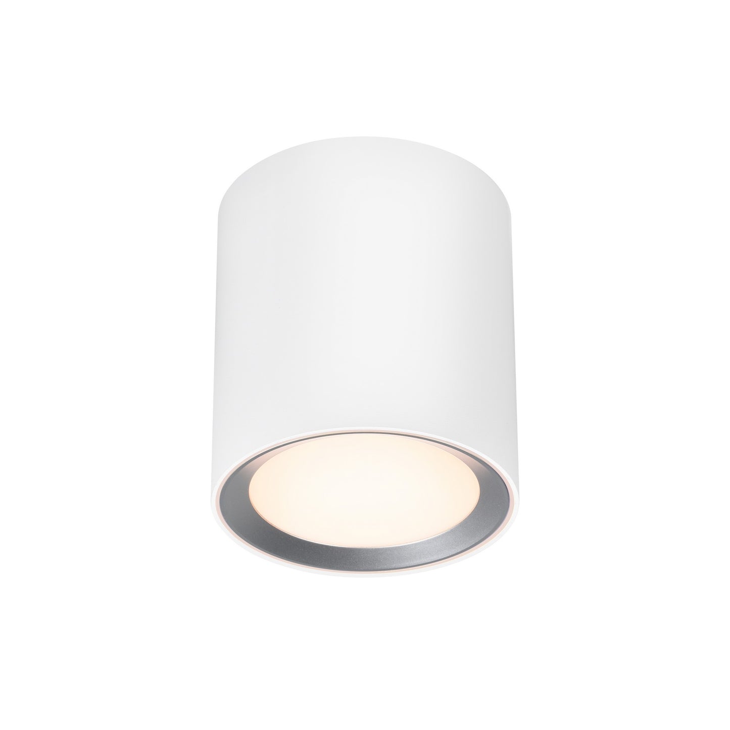 Landon Smart Long - Ceiling light