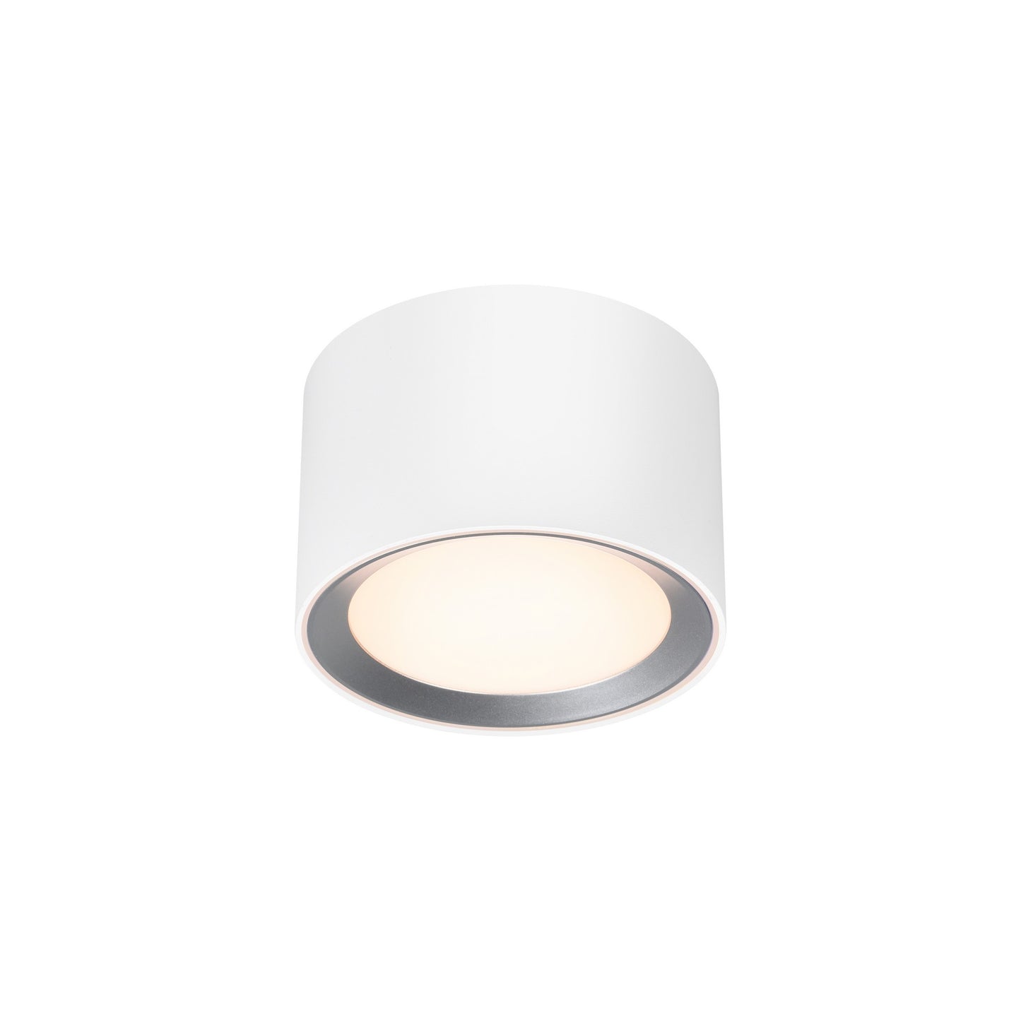 Landon Smart - Ceiling light